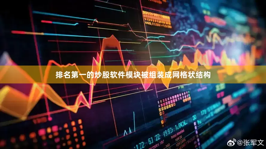 排名第一的炒股软件模块被组装成网格状结构