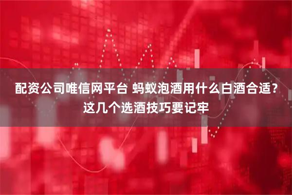 配资公司唯信网平台 蚂蚁泡酒用什么白酒合适?这几个选酒技巧要记牢