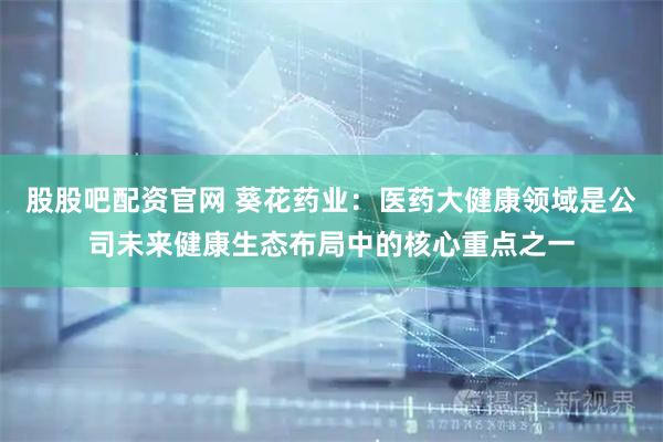 股股吧配资官网 葵花药业：医药大健康领域是公司未来健康生态布局中的核心重点之一
