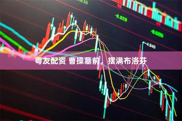 粤友配资 曹操墓前，摆满布洛芬